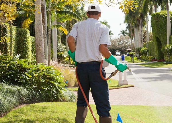 About La Joya NM Pest Control